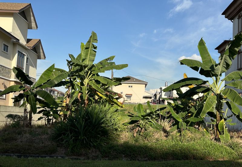 USJ 3D Bungalow Land 