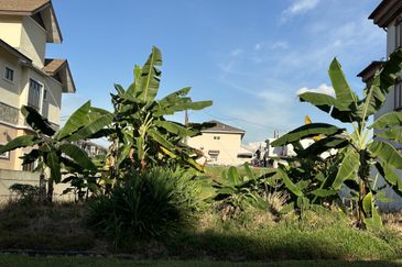 USJ 3D Bungalow Land 