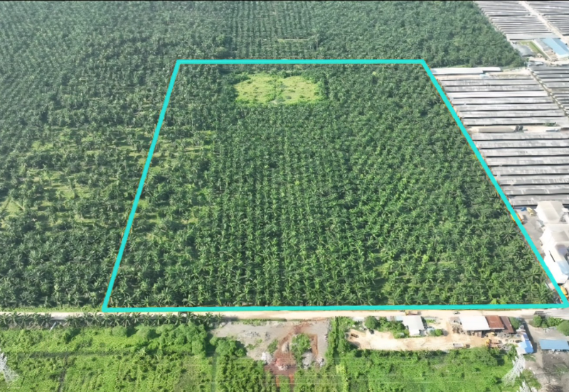 31-Acre Freehold Intermediate Industrial Land in Klang – RM60/sqft
