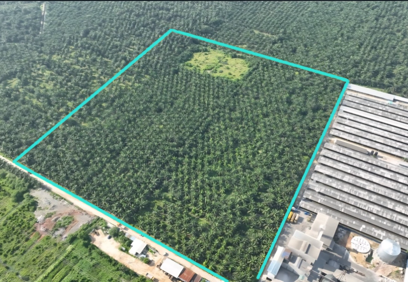 31-Acre Freehold Intermediate Industrial Land in Klang – RM60/sqft