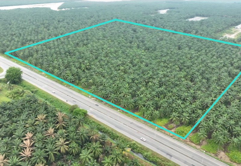 11.4-Acre Leasehold Intermediate Residential Land in Bukit Changgang – RM55/sqft