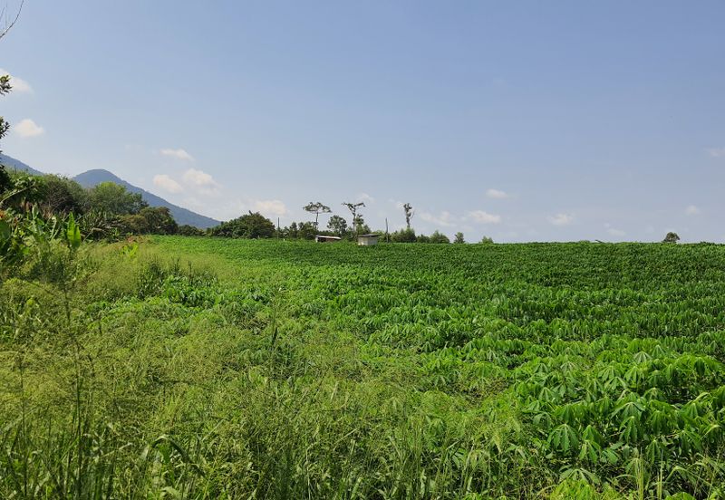 Potential Residential Development Land in Kluang