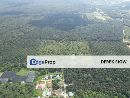 Agricultural Land in Ulu Tiram, Johor, Johor, Ulu Tiram