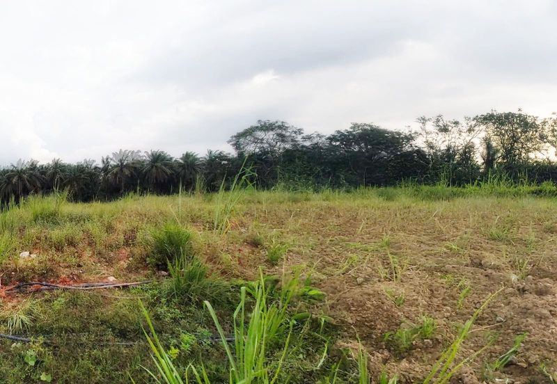 Taman Perindustrian Cemerlang