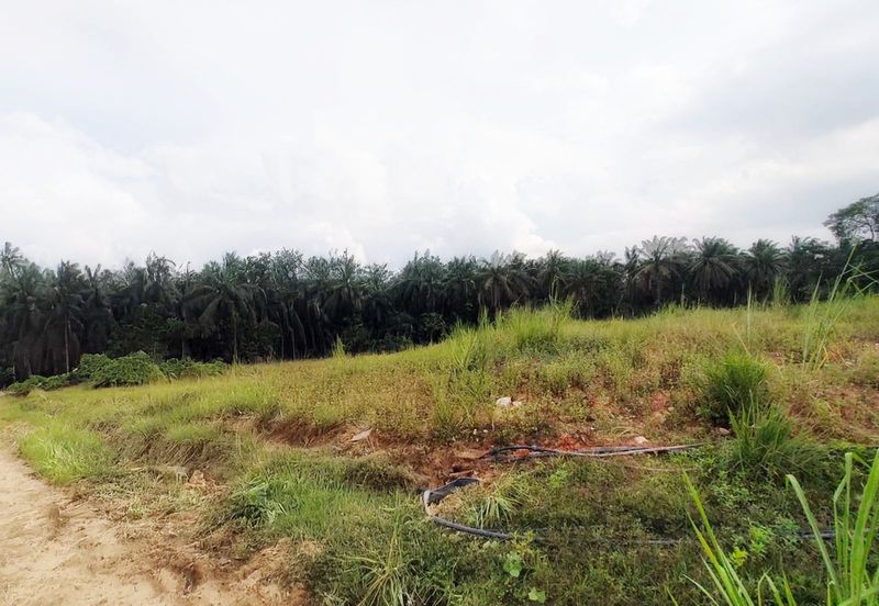 Taman Perindustrian Cemerlang