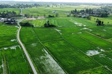 Tanah Bendang 2.9 ekar for sale