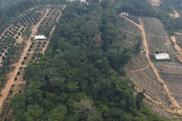 Kampung Sungai Merab