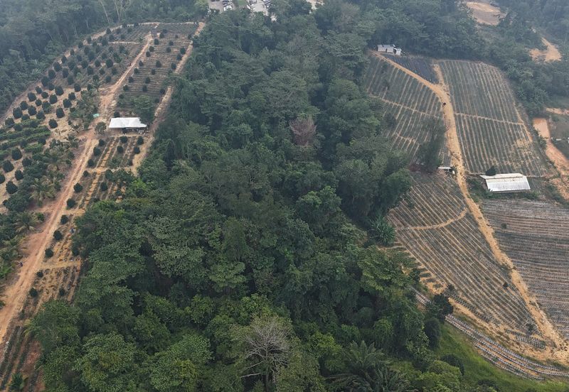 Kampung Sungai Merab