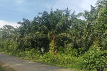 Mahkota Banting industrial land for sale 