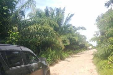 Mahkota Banting industrial land for sale 