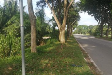 Mahkota Banting industrial land for sale 