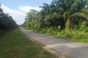 Mahkota Banting industrial land for sale 