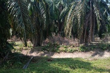 Jeram Agri land(zone INDS) fir sale 