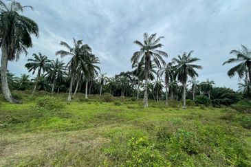 Jeram Agricultural land for sale 
