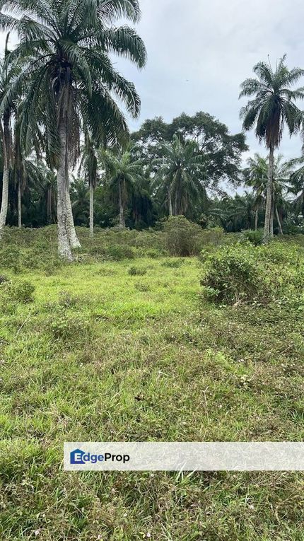 Jeram Agricultural land for sale , Selangor, Kuala Selangor