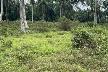 Jeram Agricultural land for sale 