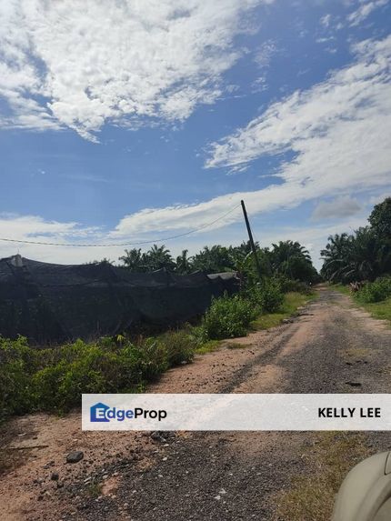 Kelanang agricultural land for sale , Selangor, Banting