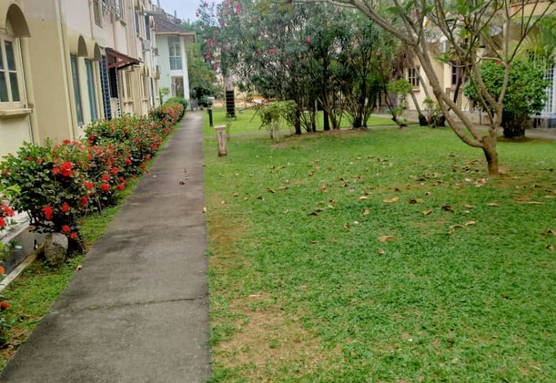 Kondo Ruby (Golden Showers)