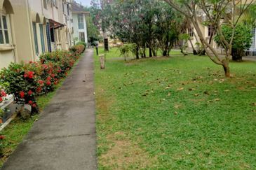 Kondo Ruby (Golden Showers)