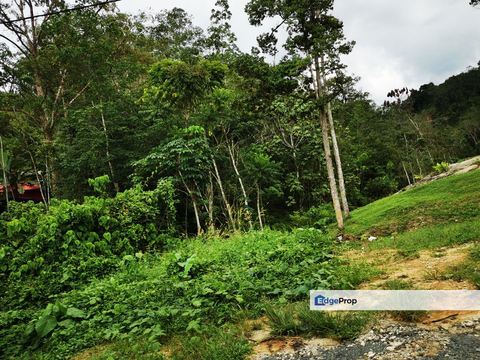 Land have river for sale serendah rawang for Sale RM1,260,000 By VICTOR SOONG EdgeProp.my