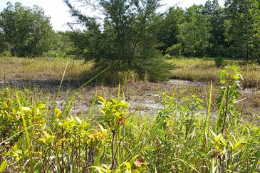 Saujana Rawang Land for Sales, RM 68 per sf