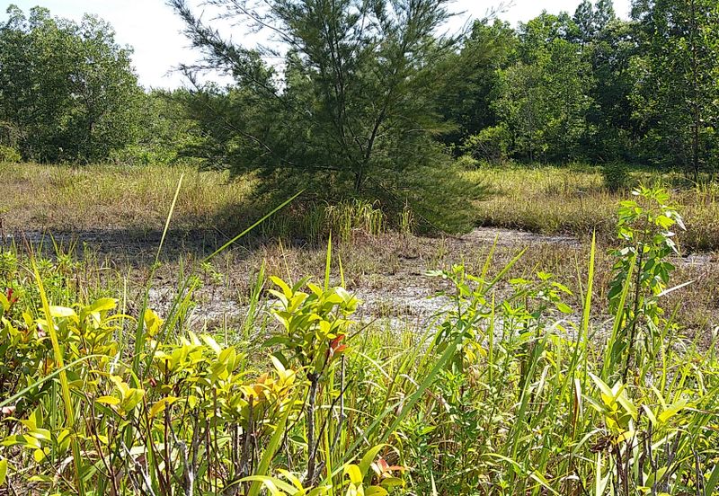 Saujana Rawang Land for Sales, RM 68 per sf