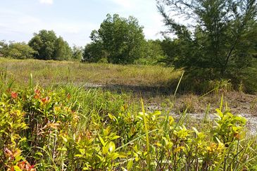 Saujana Rawang Land for Sales, RM 68 per sf