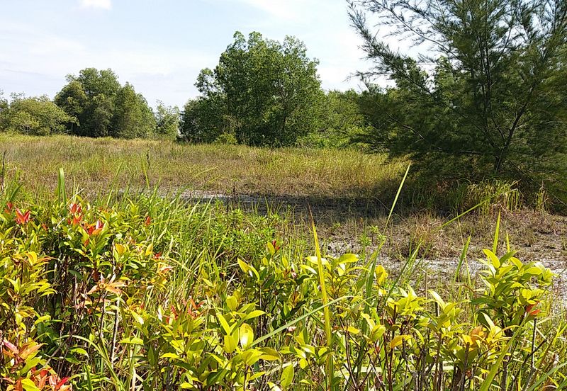 Saujana Rawang Land for Sales, RM 68 per sf