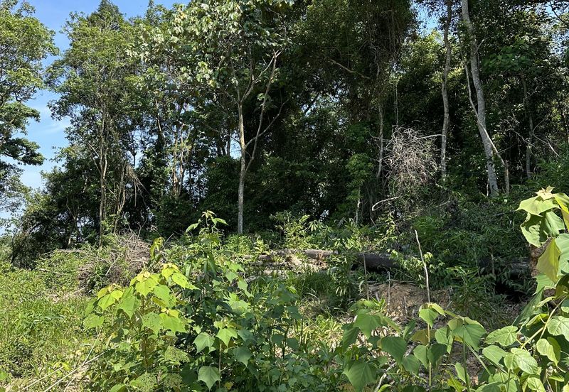 TIARA MELAKA GOLF & COUNTRY CLUB (VILLE