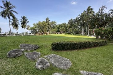 Ocean Palms Condominium