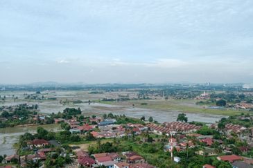 Ocean Palms Condominium