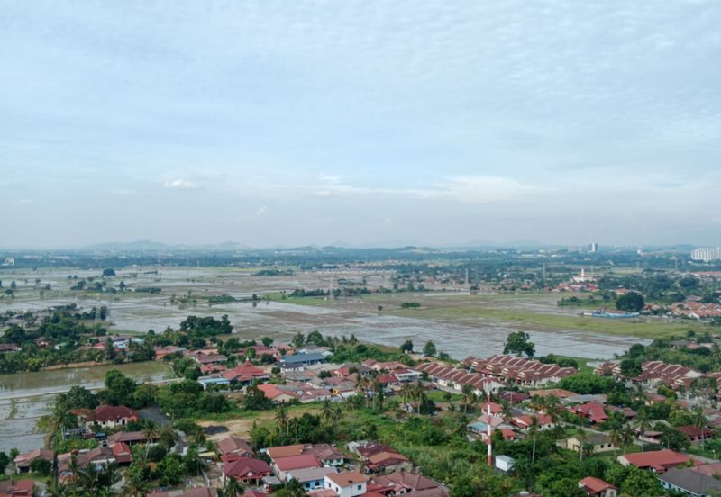 Ocean Palms Condominium