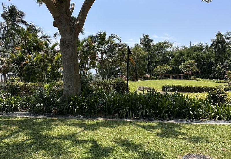 Ocean Palms Condominium