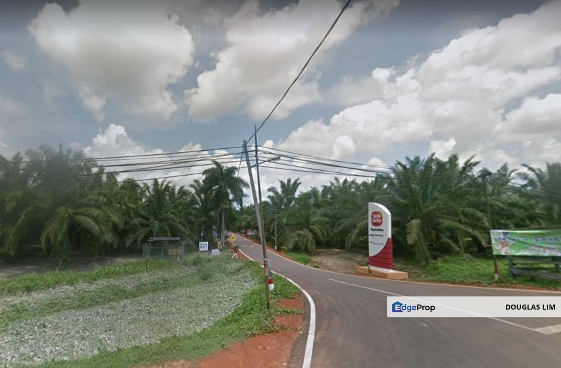 Old Tree Durian Farm Simpang Pertang Main Road Seremban , Negeri Sembilan, Simpang Pertang
