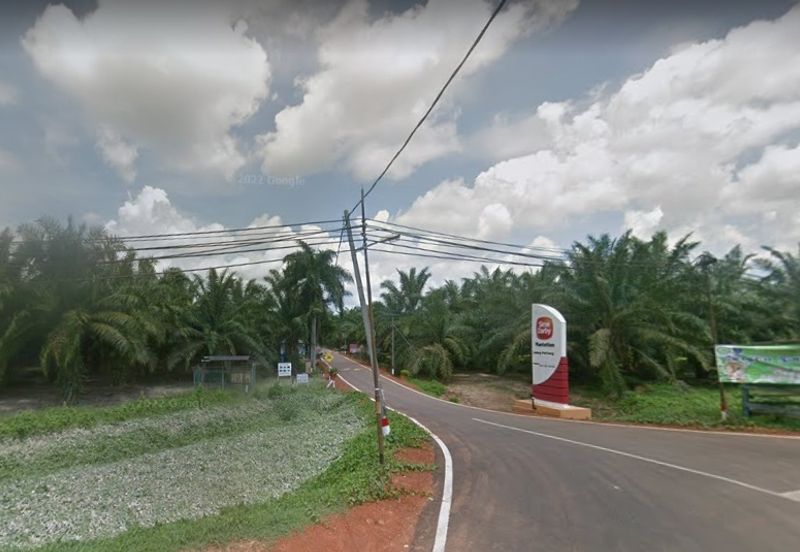 Old Tree Durian Farm Simpang Pertang Main Road Seremban 