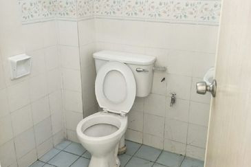 Anggerik Doritis @ Kota Kemuning