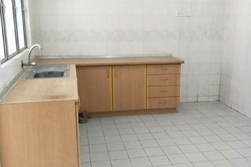 Anggerik Doritis @ Kota Kemuning