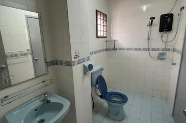 Anggerik Doritis @ Kota Kemuning