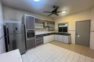 Anggerik Doritis @ Kota Kemuning