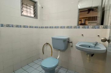 Anggerik Doritis @ Kota Kemuning