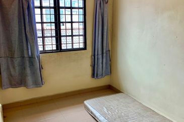 PJS 10 [Cheapest Unit]