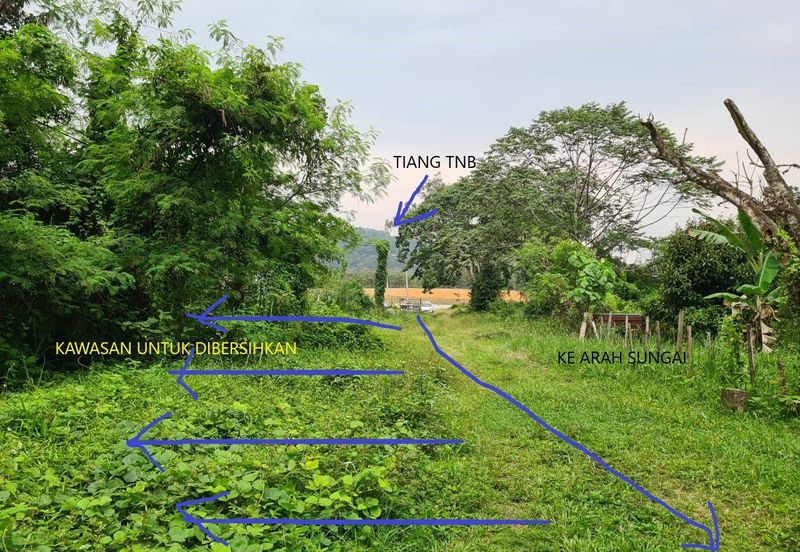 LABU Negeri Sembilan, Commercial Land