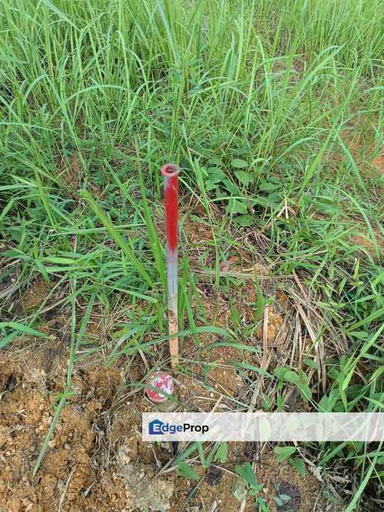  SUNGAI PLONG SUNGAI BULOH ✅✅✅✅ MUKIM SUNGAI BULOH BANGUNAN FREEHOLD – REZAB MELAYU 500 M DARI JALAN UTAMA UNTUK DIJUAL, Selangor, Sungai Buloh