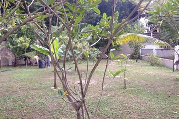 Bungalow For Rent - Mutiara Damansara