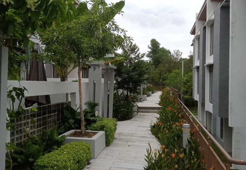 Symphony Hills Mozart