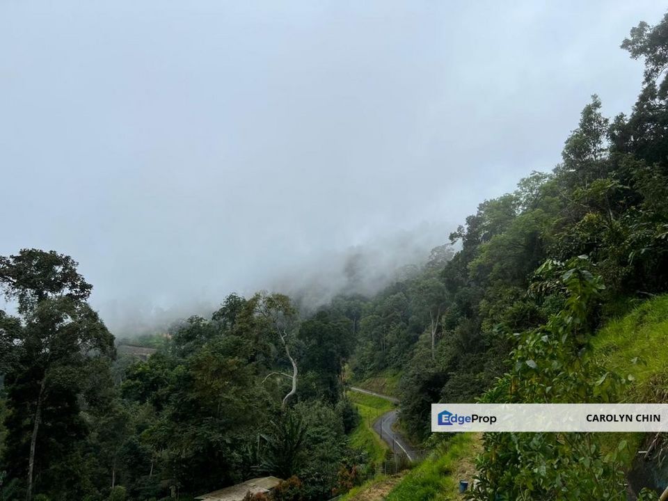 Janda Baik - Tanarimba, Land Bentong Pahang , Pahang, Bentong