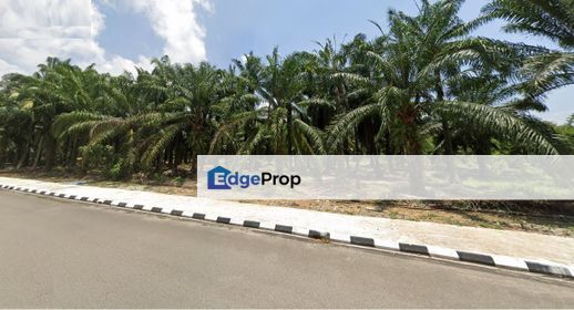 Land fronting main road, Flat Land, near residential & commercial area, Penang, Bukit Minyak