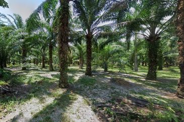 Land fronting main road, Flat Land, near residential & commercial area