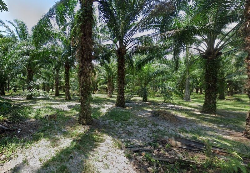 Land fronting main road, Flat Land, near residential & commercial area