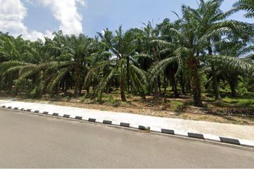 Land fronting main road, Flat Land, near residential & commercial area